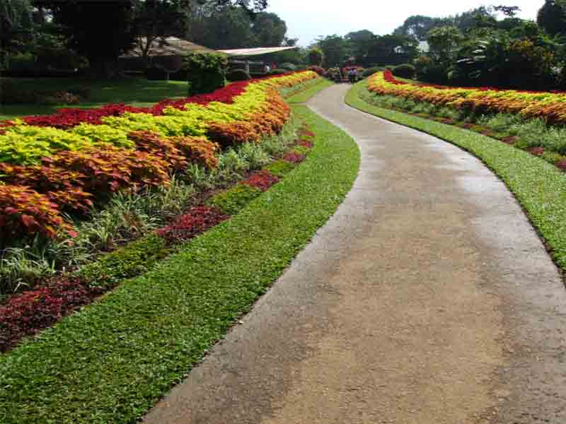 Royal Botanical Gardens Peradeniyat